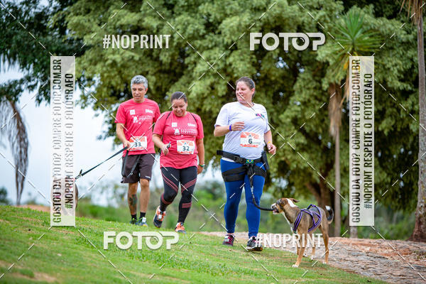 Buy your photos of the eventKaluan� Trail e Canicross - Irisphoto on Fotop