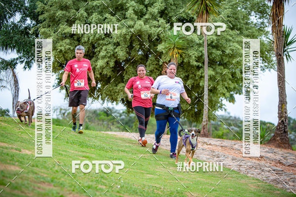 Buy your photos of the eventKaluan� Trail e Canicross - Irisphoto on Fotop