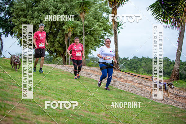 Buy your photos of the eventKaluan� Trail e Canicross - Irisphoto on Fotop