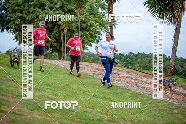 Buy your photos of the eventKaluan� Trail e Canicross - Irisphoto on Fotop