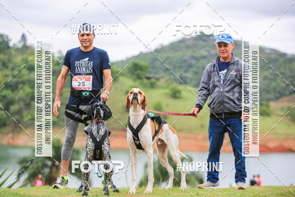 Buy your photos of the eventKaluan� Trail e Canicross - Irisphoto on Fotop