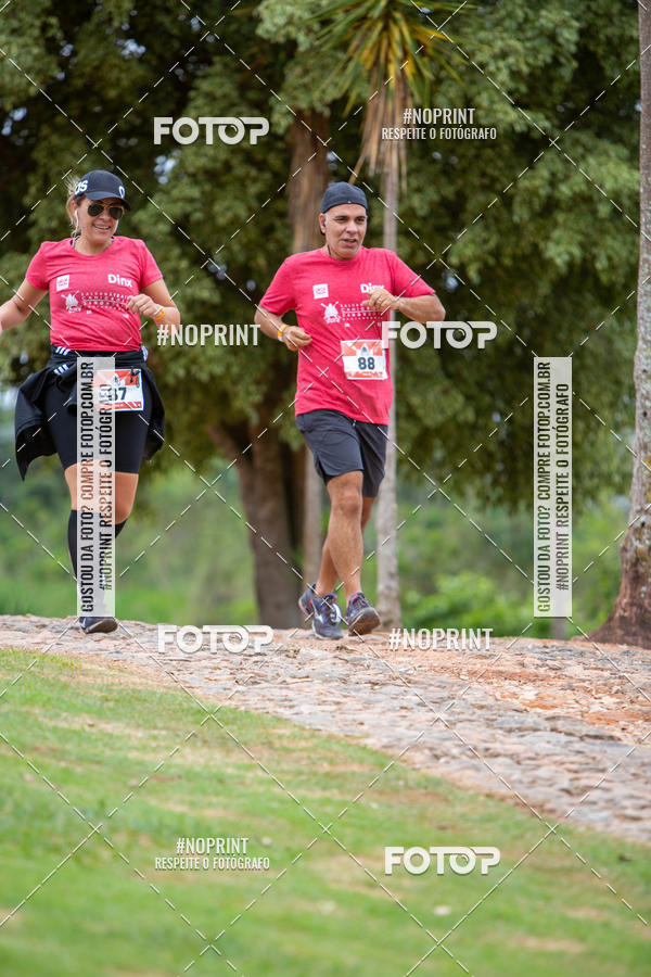 Buy your photos of the eventKaluan� Trail e Canicross - Irisphoto on Fotop