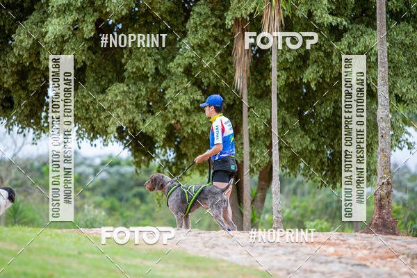 Buy your photos of the eventKaluan� Trail e Canicross - Irisphoto on Fotop