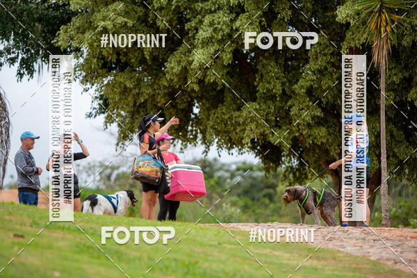 Buy your photos of the eventKaluan� Trail e Canicross - Irisphoto on Fotop