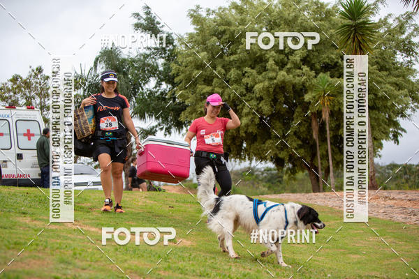 Buy your photos of the eventKaluan� Trail e Canicross - Irisphoto on Fotop