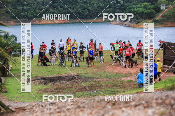Buy your photos of the eventKaluan� Trail e Canicross - Irisphoto on Fotop