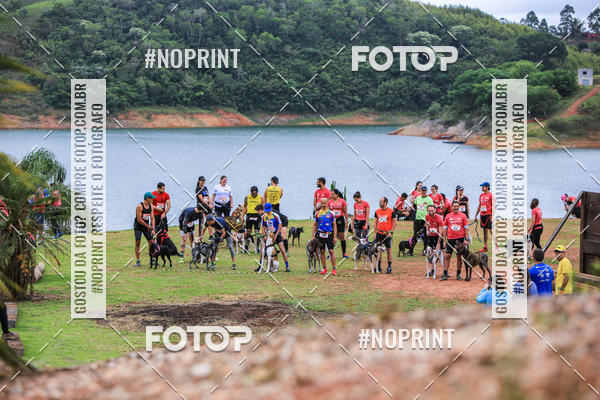 Buy your photos of the eventKaluan� Trail e Canicross - Irisphoto on Fotop