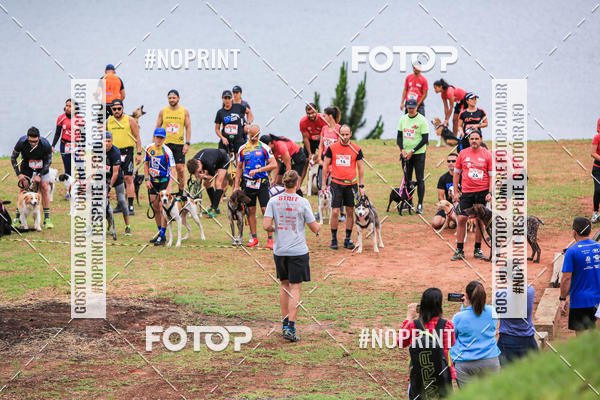 Buy your photos of the eventKaluan� Trail e Canicross - Irisphoto on Fotop