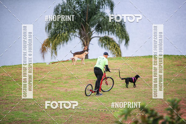 Buy your photos of the eventKaluan� Trail e Canicross - Irisphoto on Fotop