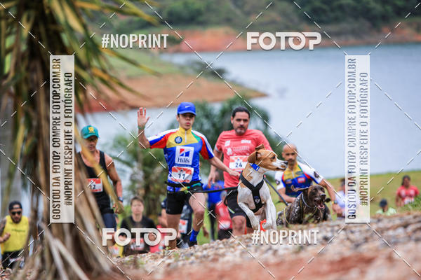 Buy your photos of the eventKaluan� Trail e Canicross - Irisphoto on Fotop