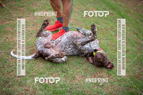 Compra tus fotos del eventoKaluan Trail e Canicross En Fotop