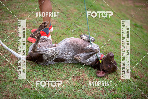 Compra tus fotos del eventoKaluan Trail e Canicross En Fotop