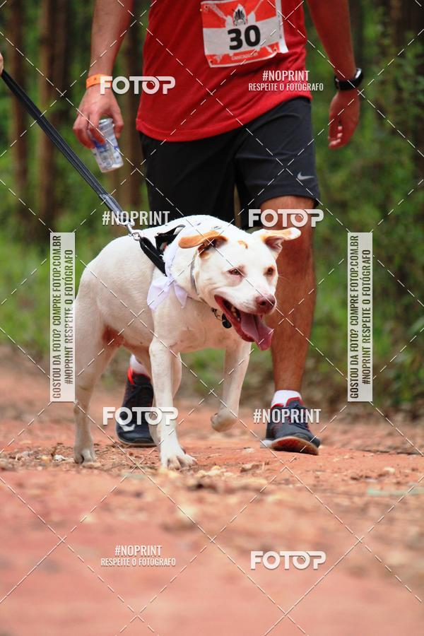 Buy your photos of the eventKaluan� Trail e Canicross - Irisphoto on Fotop