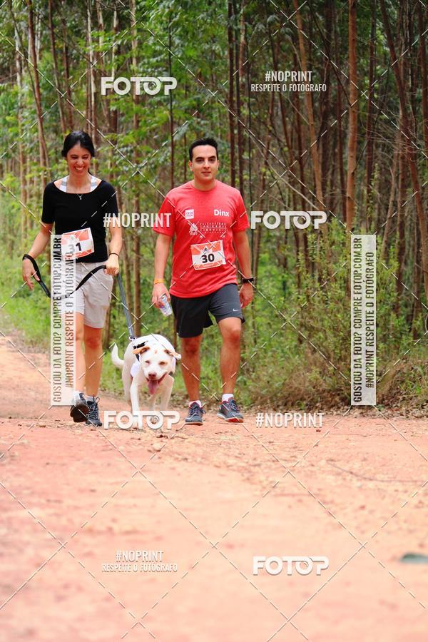 Buy your photos of the eventKaluan� Trail e Canicross - Irisphoto on Fotop