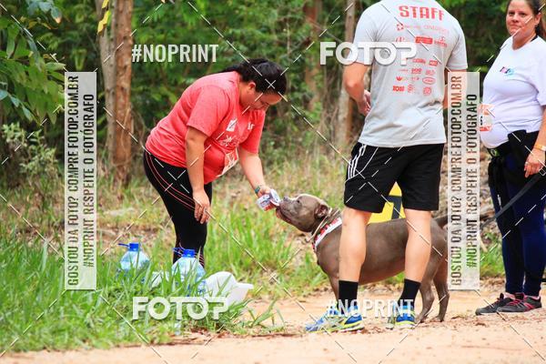 Buy your photos of the eventKaluan� Trail e Canicross - Irisphoto on Fotop