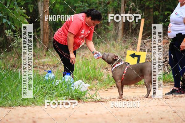 Buy your photos of the eventKaluan� Trail e Canicross - Irisphoto on Fotop