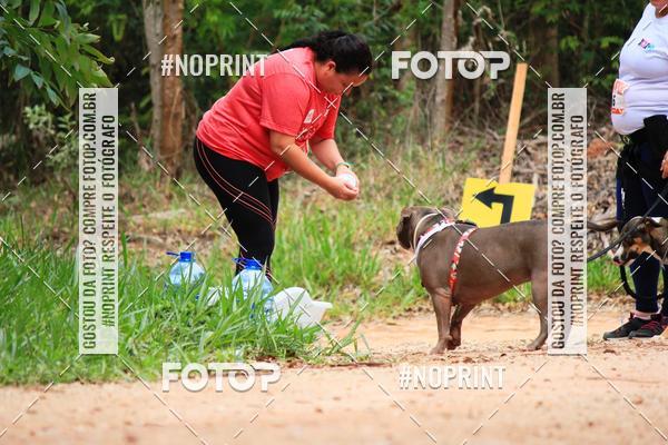 Buy your photos of the eventKaluan� Trail e Canicross - Irisphoto on Fotop