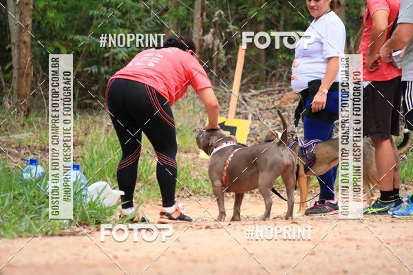 Buy your photos of the eventKaluan� Trail e Canicross - Irisphoto on Fotop
