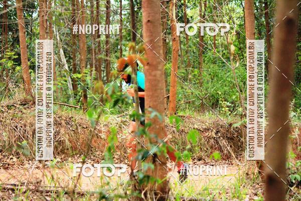 Buy your photos of the eventKaluan� Trail e Canicross - Irisphoto on Fotop