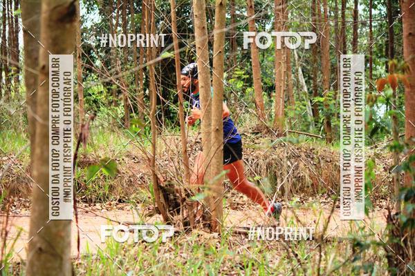 Buy your photos of the eventKaluan� Trail e Canicross - Irisphoto on Fotop