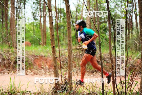 Buy your photos of the eventKaluan� Trail e Canicross - Irisphoto on Fotop