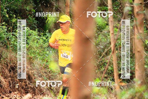 Buy your photos of the eventKaluan� Trail e Canicross - Irisphoto on Fotop