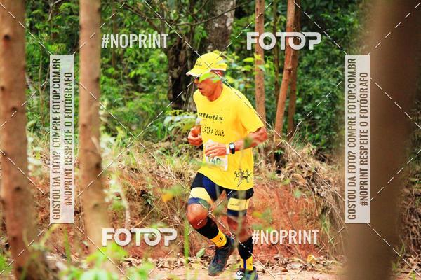 Buy your photos of the eventKaluan� Trail e Canicross - Irisphoto on Fotop