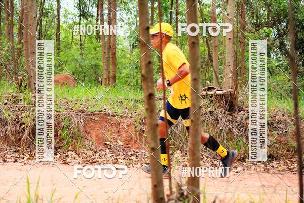 Buy your photos of the eventKaluan� Trail e Canicross - Irisphoto on Fotop