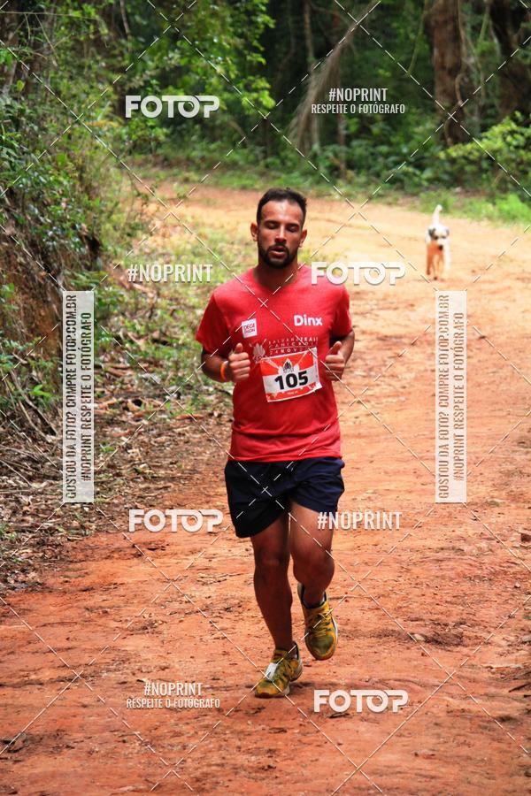 Buy your photos of the eventKaluan� Trail e Canicross - Irisphoto on Fotop