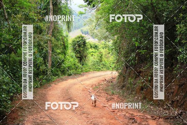 Buy your photos of the eventKaluan� Trail e Canicross - Irisphoto on Fotop