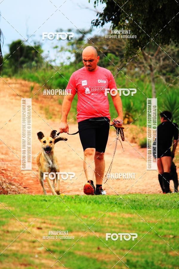 Buy your photos of the eventKaluan� Trail e Canicross - Irisphoto on Fotop