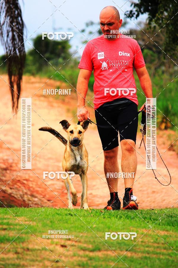 Buy your photos of the eventKaluan� Trail e Canicross - Irisphoto on Fotop