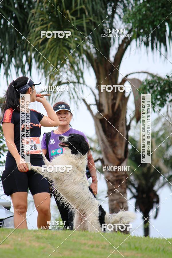 Acquista le foto dell'eventoKaluan� Trail e Canicross - Irisphoto in Fotop