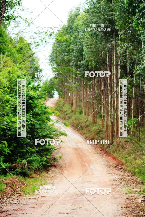 Acquista le foto dell'eventoKaluan� Trail e Canicross - Irisphoto in Fotop