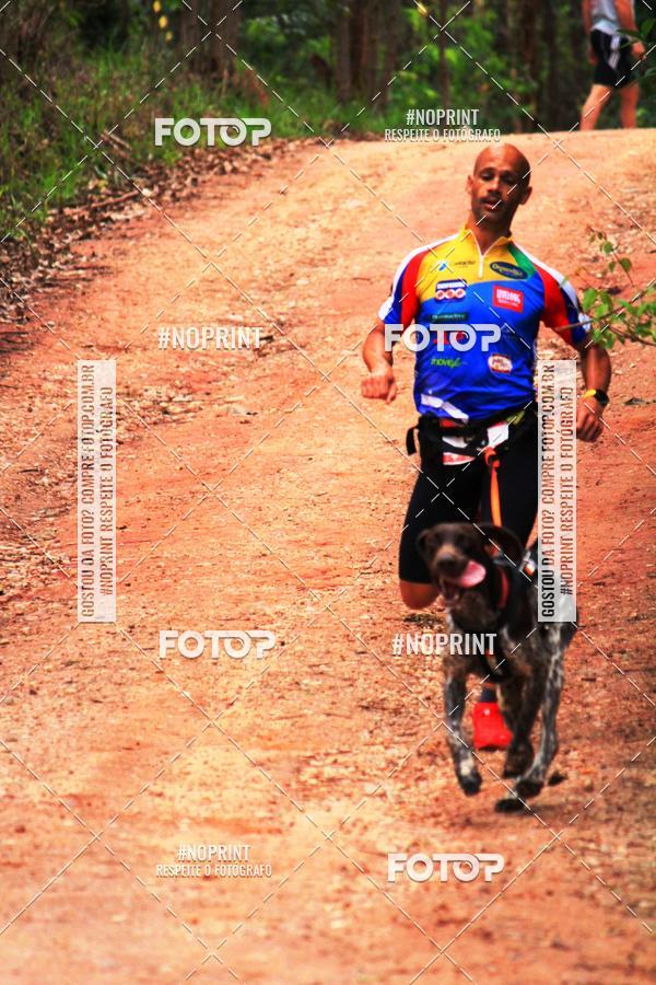 Acquista le foto dell'eventoKaluan� Trail e Canicross - Irisphoto in Fotop