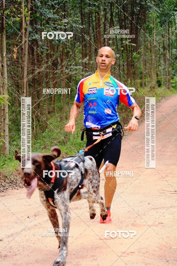 Acquista le foto dell'eventoKaluan� Trail e Canicross - Irisphoto in Fotop