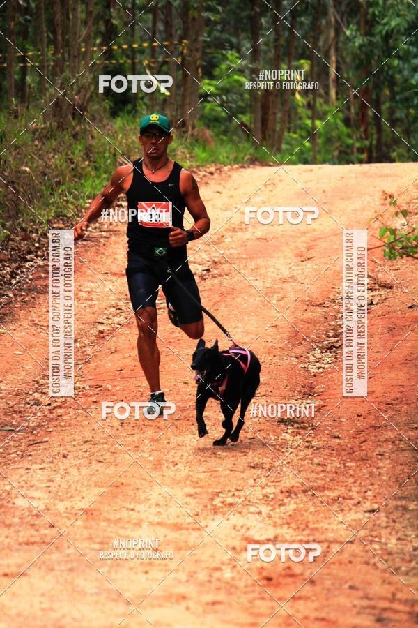 Buy your photos of the eventKaluan� Trail e Canicross - Irisphoto on Fotop