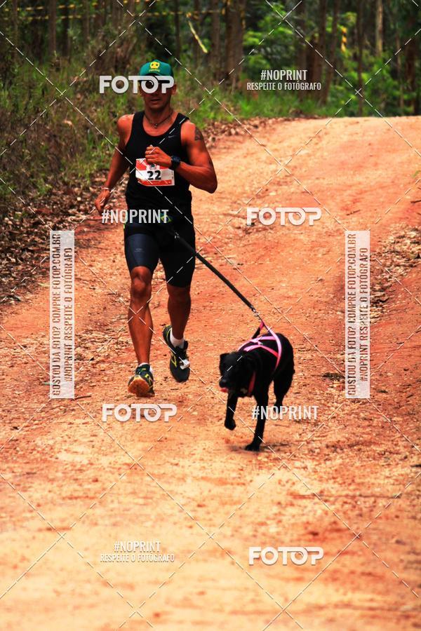 Buy your photos of the eventKaluan� Trail e Canicross - Irisphoto on Fotop