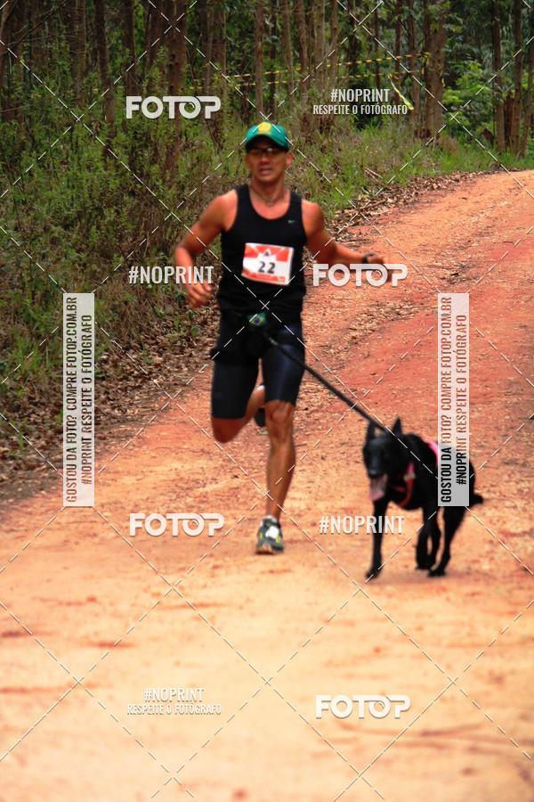 Buy your photos of the eventKaluan� Trail e Canicross - Irisphoto on Fotop