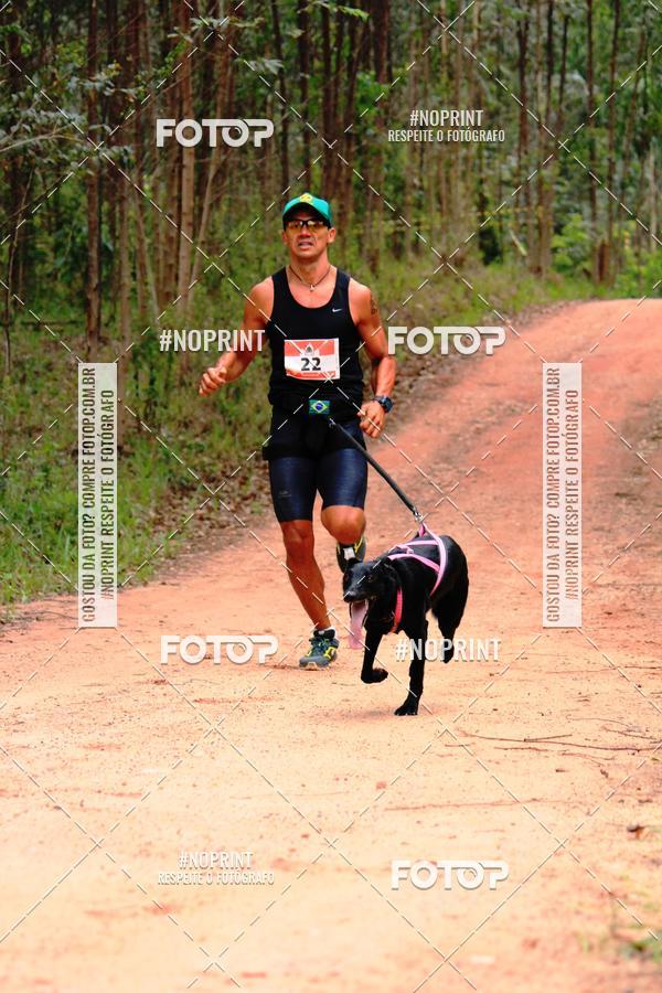 Buy your photos of the eventKaluan� Trail e Canicross - Irisphoto on Fotop