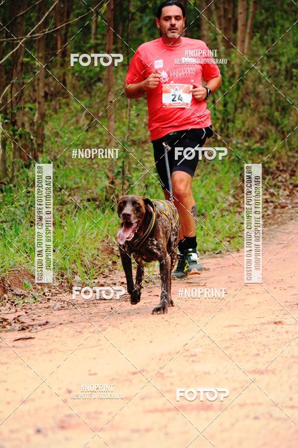 Buy your photos of the eventKaluan� Trail e Canicross - Irisphoto on Fotop