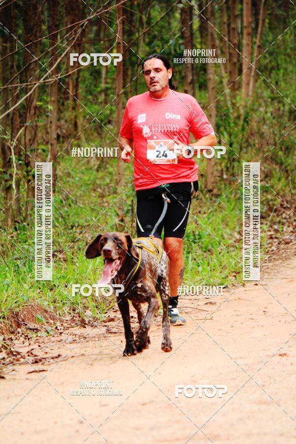 Buy your photos of the eventKaluan� Trail e Canicross - Irisphoto on Fotop