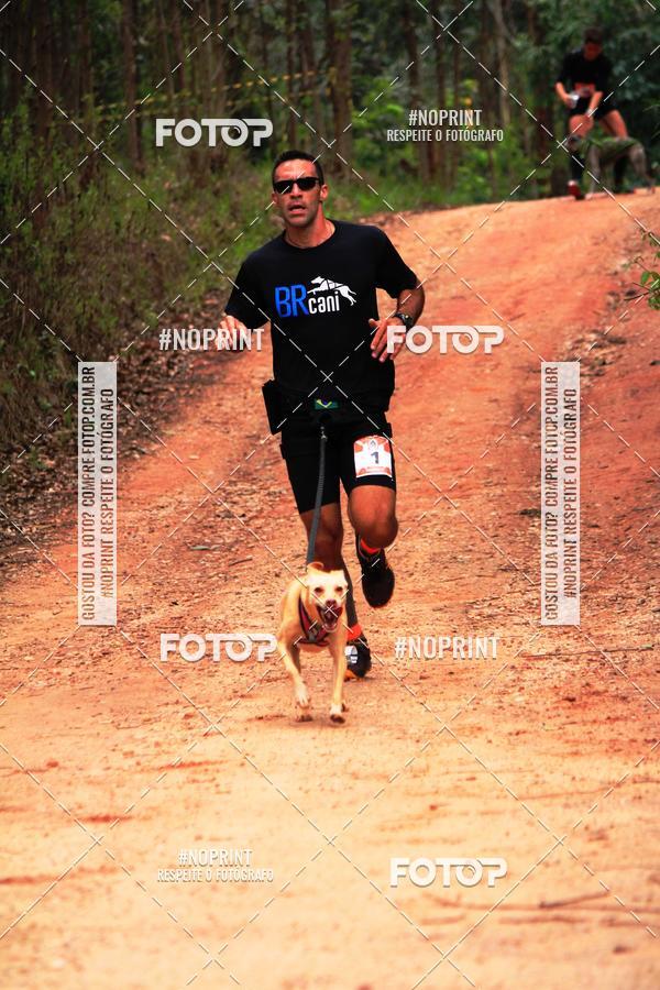 Buy your photos of the eventKaluan� Trail e Canicross - Irisphoto on Fotop