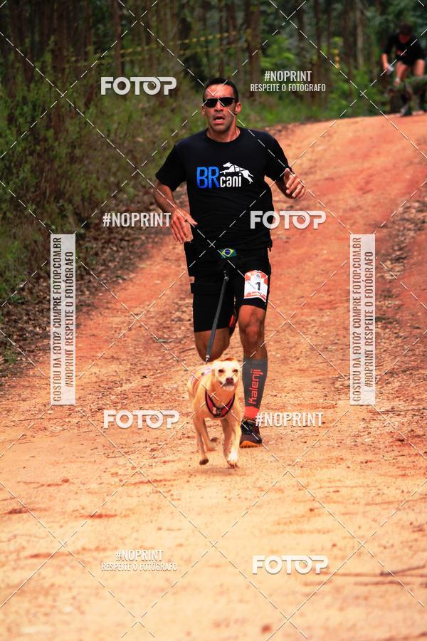 Buy your photos of the eventKaluan� Trail e Canicross - Irisphoto on Fotop