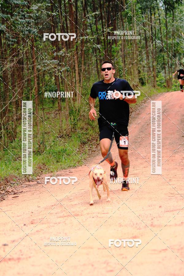 Buy your photos of the eventKaluan� Trail e Canicross - Irisphoto on Fotop