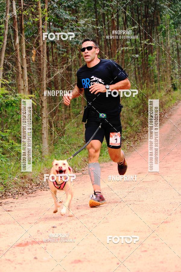 Buy your photos of the eventKaluan� Trail e Canicross - Irisphoto on Fotop