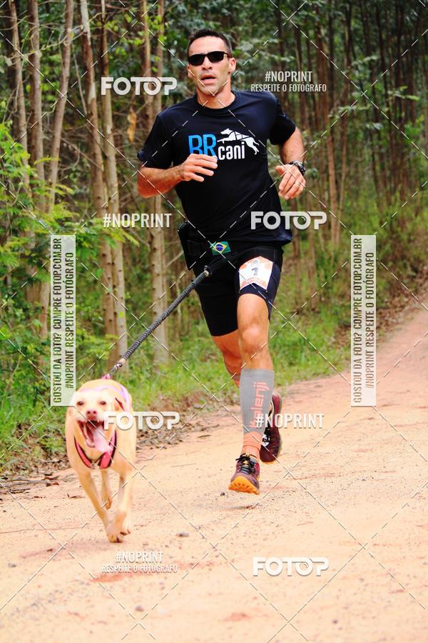 Buy your photos of the eventKaluan� Trail e Canicross - Irisphoto on Fotop