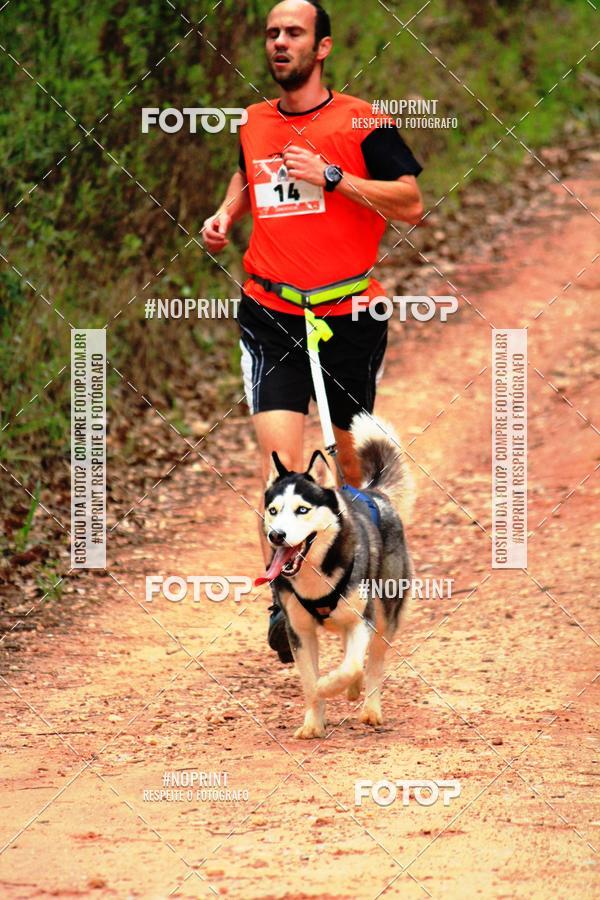 Buy your photos of the eventKaluan� Trail e Canicross - Irisphoto on Fotop