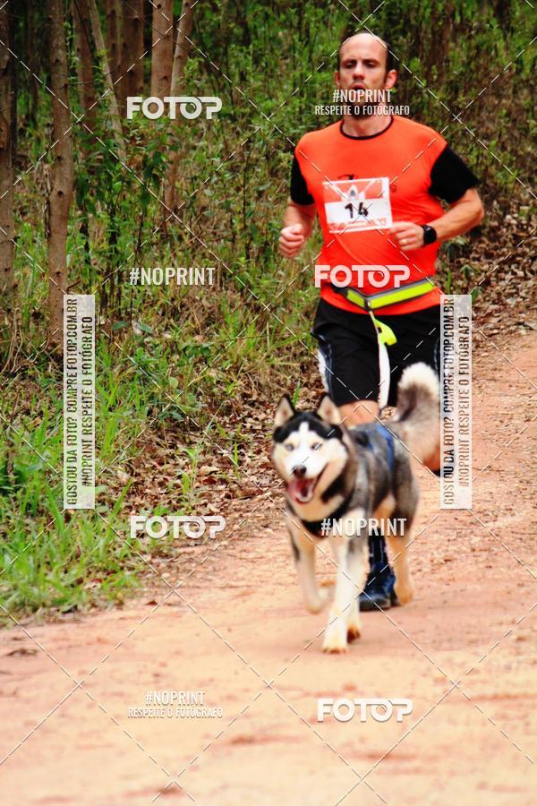 Buy your photos of the eventKaluan� Trail e Canicross - Irisphoto on Fotop