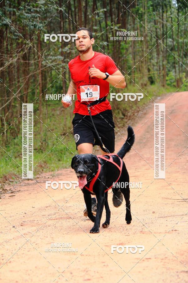 Buy your photos of the eventKaluan� Trail e Canicross - Irisphoto on Fotop